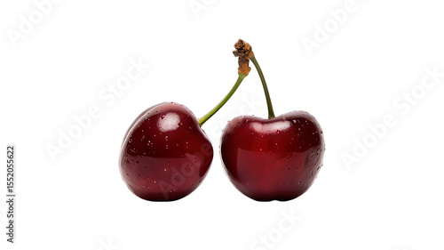 Two Dark Red Cherries with Stems. The image shows two ripe, dark red cherries side-by-side against a white background. The cherries are connected by their green stems