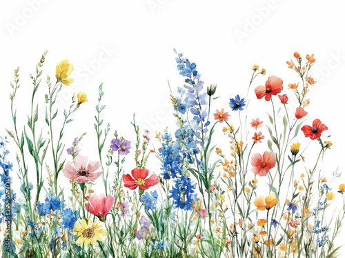 Watercolor background with wildflowers. Watercolor colorful wildflowers and meadow flowers on a white background. Natural and wild flowers concept. Watercolor field botany. Vector illustration.