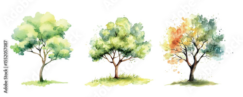 Watercolor set of green trees png. Collection of green trees with lush green crowns. Elements of forest, garden, park, etc. Botanical set of green trees watercolor. Vector illustration.