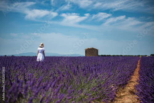 provenza 