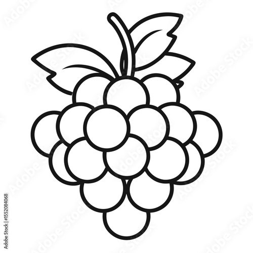 vector illustration of grapes with leaves