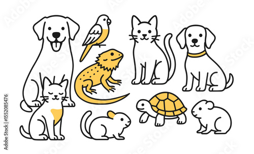 Illustrated pets: dog, cat, bird, reptile, and small animal collection