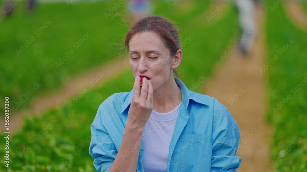Woman eats big strawberries in strawberry patch. Closeup Woman eats big strawberries in strawberry patch. Closeup
