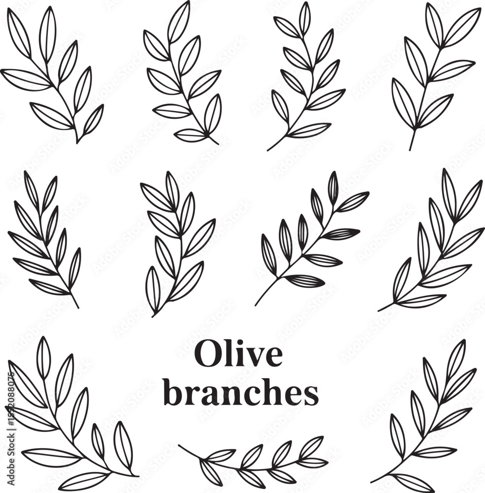 Hand-Drawn Olive Branch Doodle Set with Elegant Mediterranean Botanical Style