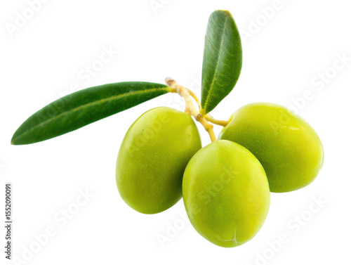 Wallpaper Mural Three fresh green olives on a branch with leaves olive branch olive tree Torontodigital.ca