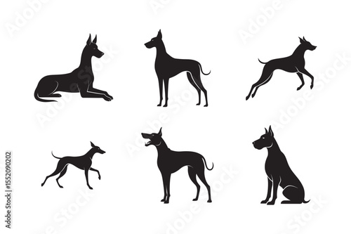 Great Dane Silhouette Bundle Six Unique Poses