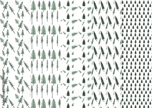 Set of patterns with different conifers, fir trees