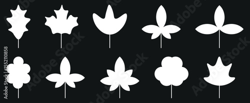 Thin Line Botanical Vector Kit – Outline Leaves and Foliage Collection for Wellness, Spa, and Eco Themes