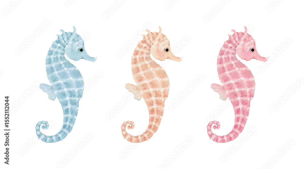 Fototapeta premium Cute seahorse in different colored, watercolor isolated illustration for your design, hand-drawn set of sea animals.