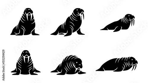 A collection of artistic black and white walrus illustrations. These illustrations showcase different poses and angles of a walrus