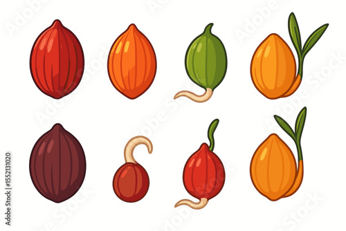 Colorful palm seeds growth stages vector illustration. Tropical seed germination, sprouting, stages of plant development. Cartoon botanical elements on white background. Agriculture, nature concept