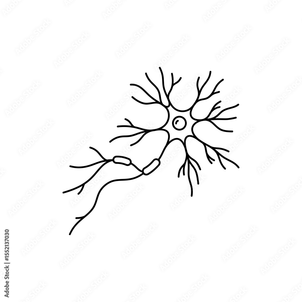 Fototapeta premium Black line icon of neuron with dendrites axon and synapse connection structure
