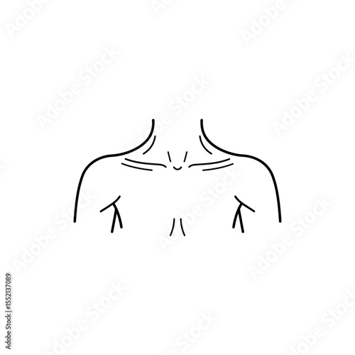 Black line icon of shoulders and collarbones from front view with symmetrical curves