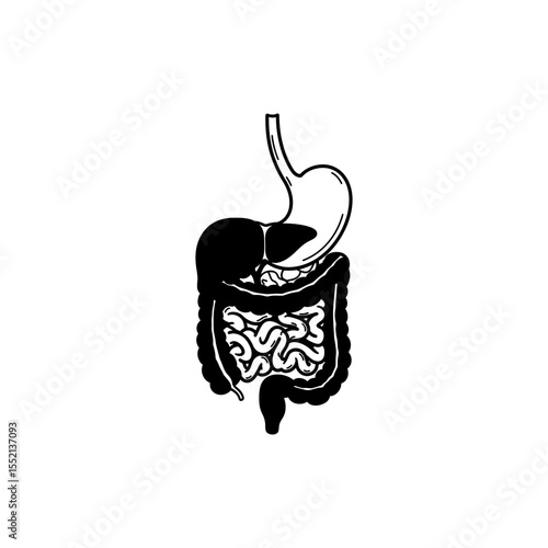 Black line icon of digestive tract from esophagus to rectum including stomach intestines and liver