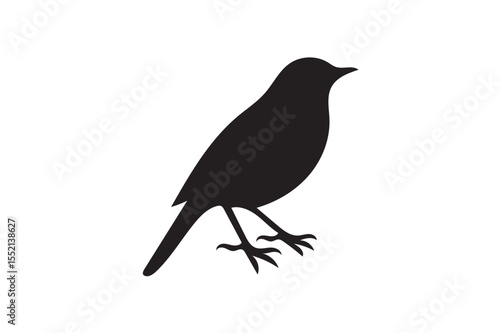 Nightingale silhouette.