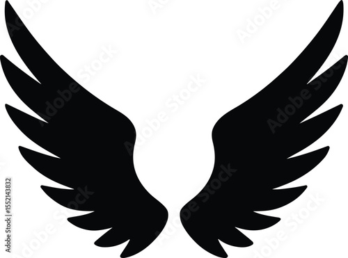 Silhouette wings symmetrical angel feather abstract black Vector Illustration