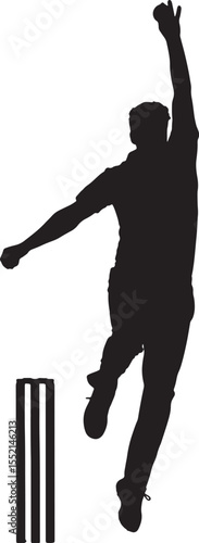 Cricket Playing Silhouette 