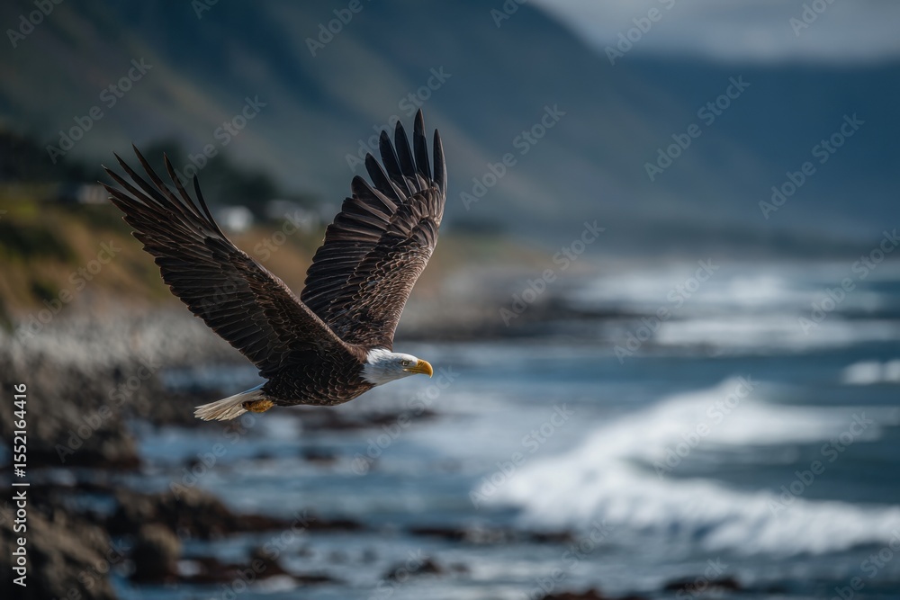 Obraz premium Eagle flies gracefully above a rugged shoreline while waves crash against the rocks below on a clear day
