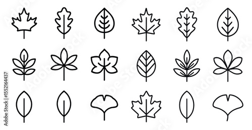 Leaf and nature outline icons set – linear, geometric, botanical symbols