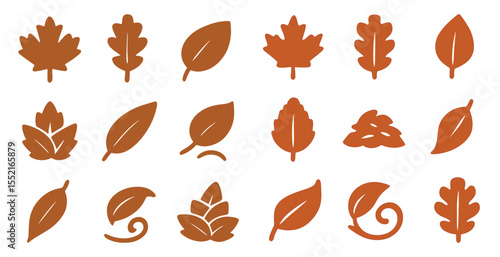 Autumn leaves icons set – silhouette, filled, nature and botanical design elements
