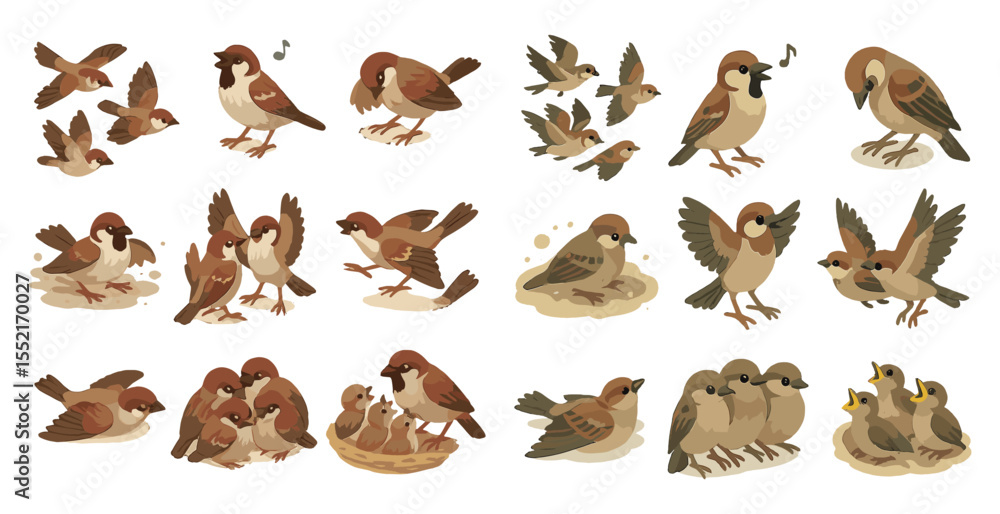 Obraz premium Bird behavior outline icons set – silhouette, line, avian and wildlife symbols