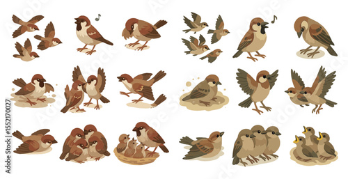 Bird behavior outline icons set – silhouette, line, avian and wildlife symbols