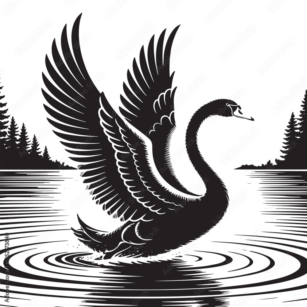 Obraz premium Elegant Black Swan Spreading Wings on Lake at Sunrise – Vector Art