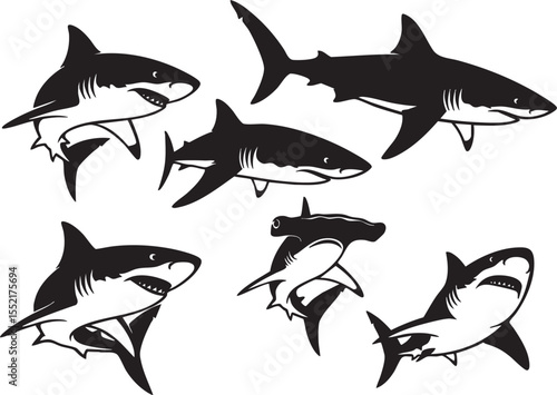Vector illustration depicting diverse shark species in bold black and white silhouettes