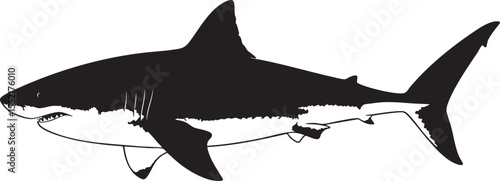 Black and white silhouette illustration of a great white shark swimming in the ocean