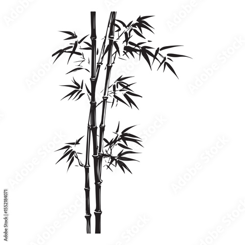 bambus silhouette vector illustration 