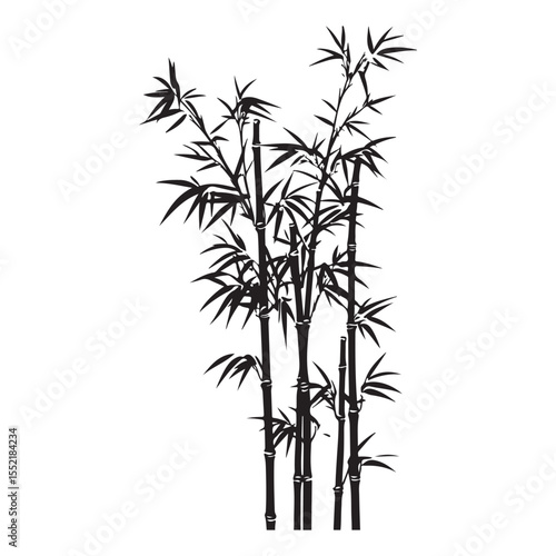bambus silhouette vector illustration 
