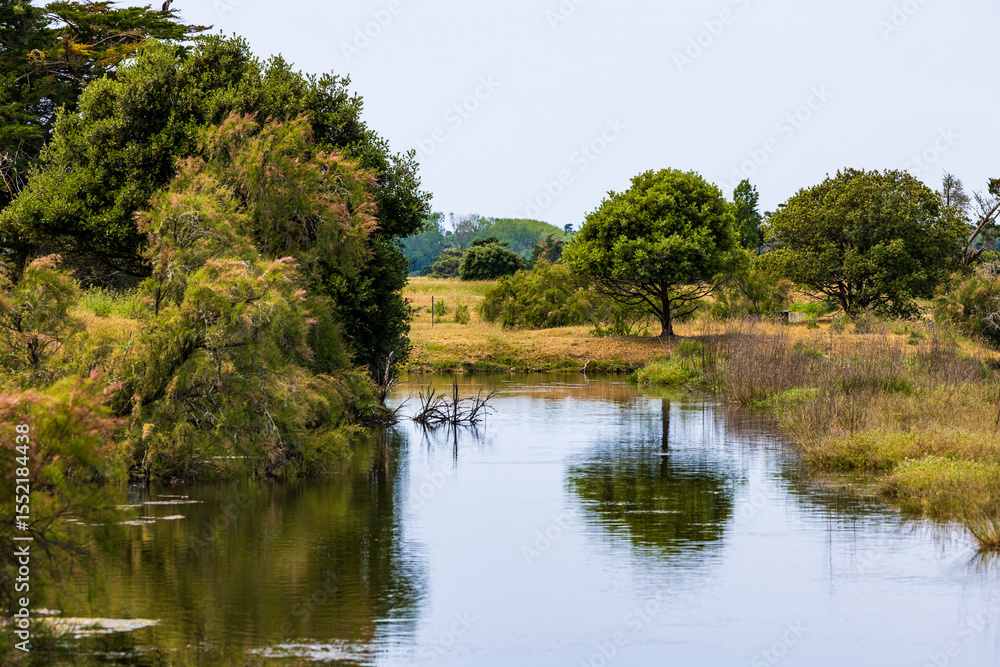 Fototapeta premium Landscape of the abandoned salt marshes of L’Île-d’Olonne