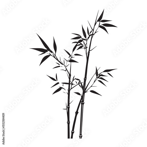bambus silhouette vector illustration 