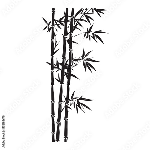 bambus silhouette vector illustration 