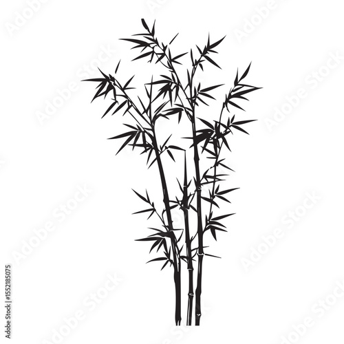 bambus silhouette vector illustration 