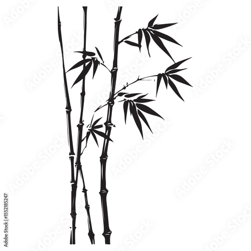 bambus silhouette vector illustration 