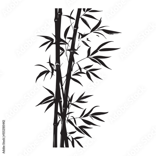 bambus silhouette vector illustration 