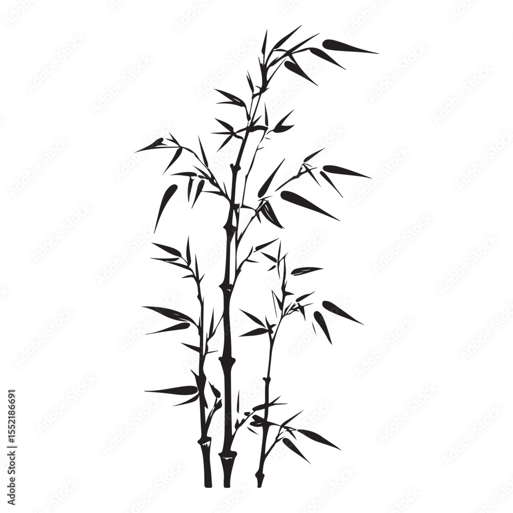 Obraz premium bambus silhouette vector illustration 