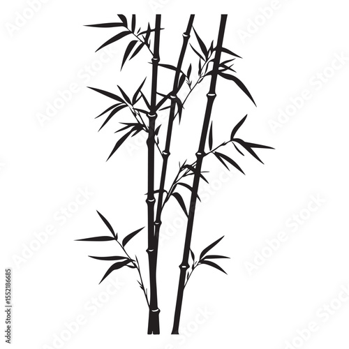 bambus silhouette vector illustration 