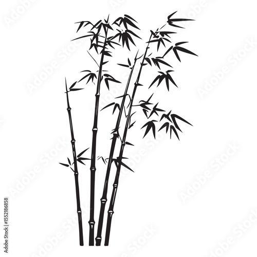 bambus silhouette vector illustration 