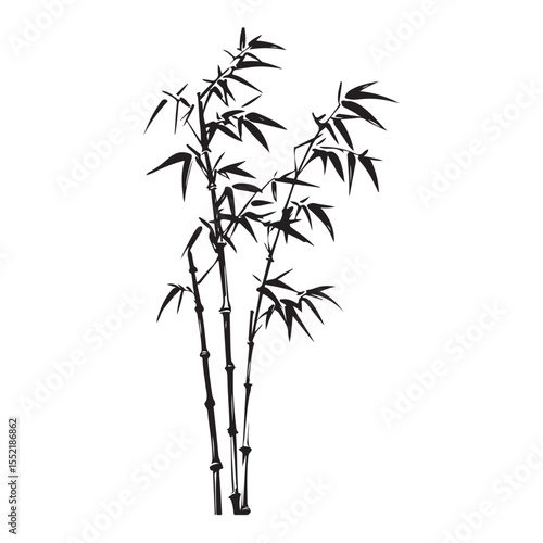 bambus silhouette vector illustration 