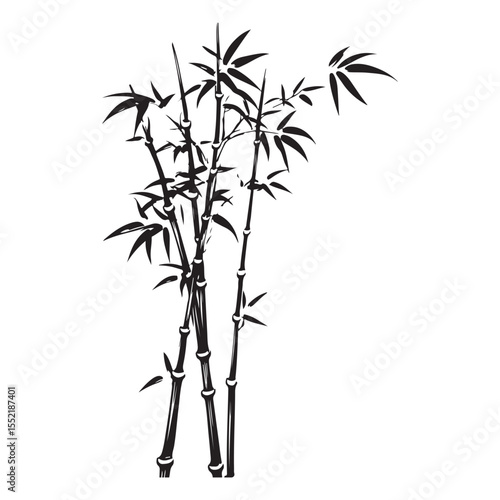 bambus silhouette vector illustration 