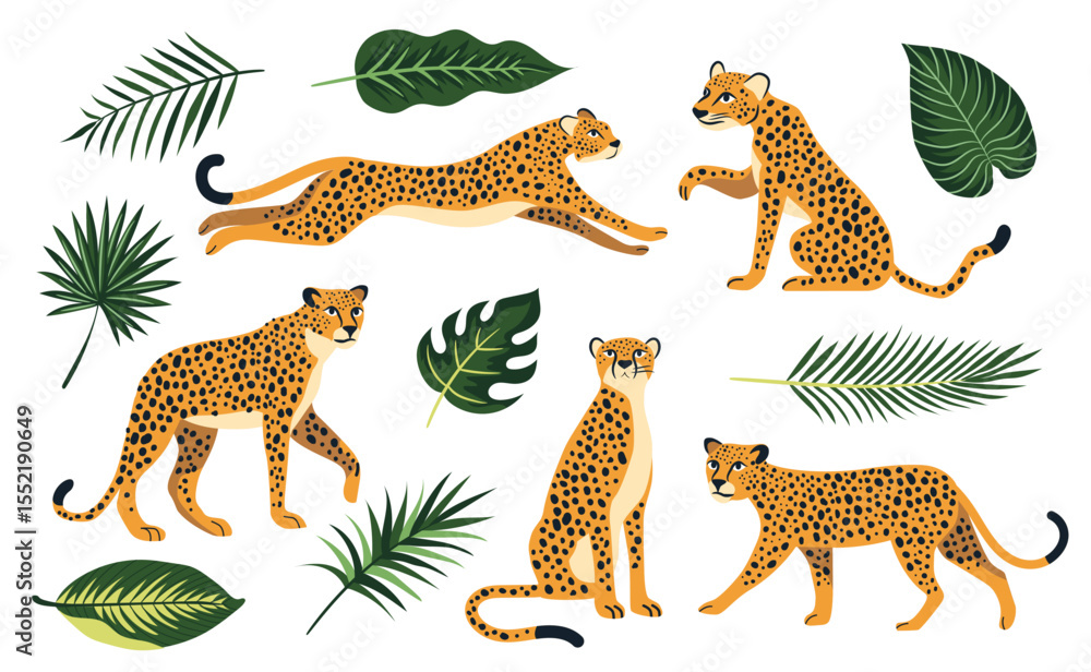Obraz premium Set of Leopards or cheetah in different poses sits lies jump. Exotic tropical leaves. Vector elements isolated on a white background.