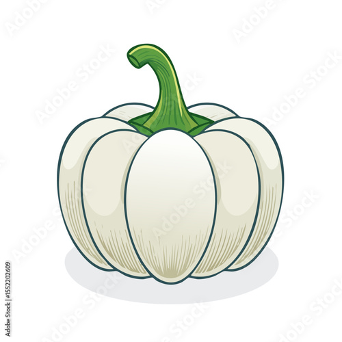Illustration of white pumpkin with green stem on a white background seasonal harvest for autumn and fall vegetable
