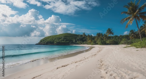 Beautiful sandy beach on an uninhabited island in the ocean with empty space for text