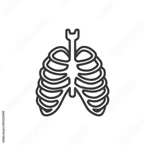 Rib Cage Outline: Anatomical Vector Illustration on White Background