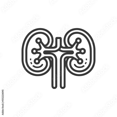 Minimalist Kidney Icon: Human Organ Anatomy, Medical Symbol, Line Art