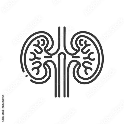 Minimalist Kidney Icon: Anatomical Illustration in Black and White Line Art