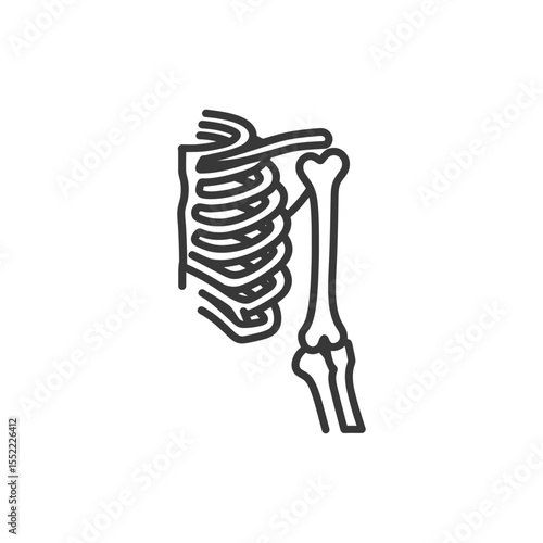 Ribcage and Humerus Bone Outline: Anatomical Vector Illustration on White Background