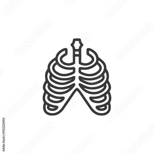 Anatomical Rib Cage Outline: Human Skeleton Vector Illustration on White Background